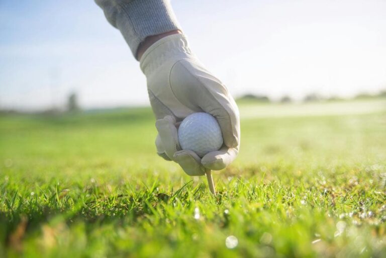 ¿Quieres saber cuáles son las mejores marcas de driver en golf este 2024? En este artículo te lo contamos en detalle.
